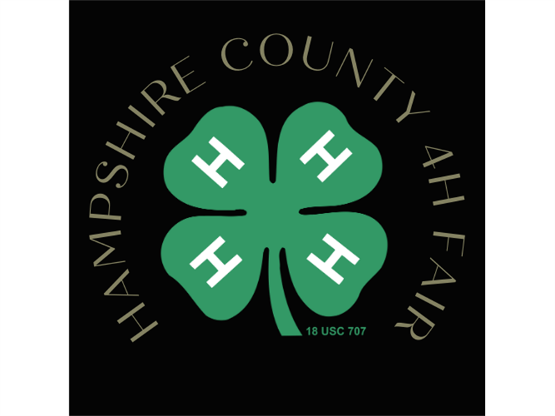 Fair Logo